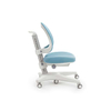 Lingxi Ergonomic Chair