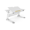 Ideal · Ultra-Stable Study Desk