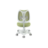 Brill·Ergonomic Chair With Adjustable Lumbar Support And Mesh Back