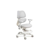 Qidi-W·Dual Backrest Ergonomic Chair