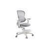 Qiyuan ·Gas Lift Ergonomic Chair