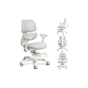 Qidi-W·Dual Backrest Ergonomic Chair