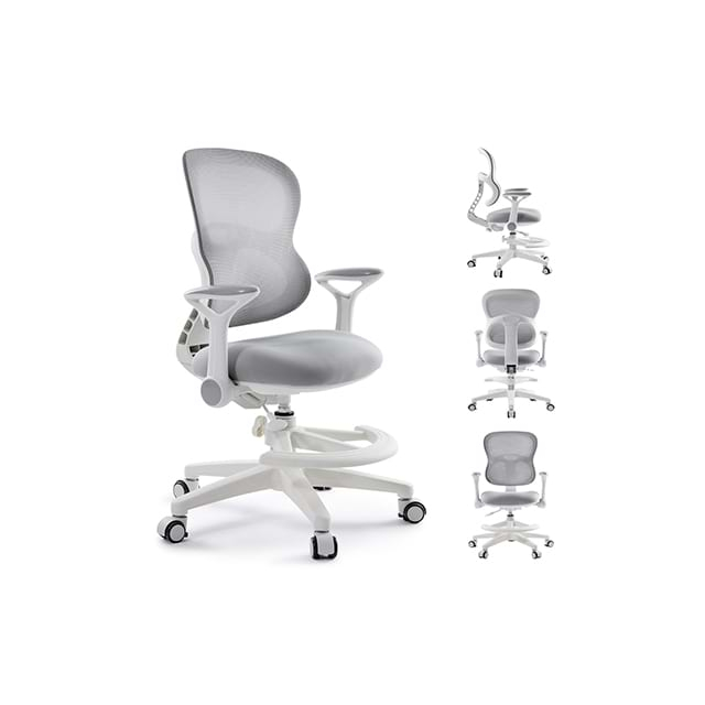 Qiyuan ·Gas Lift Ergonomic Chair
